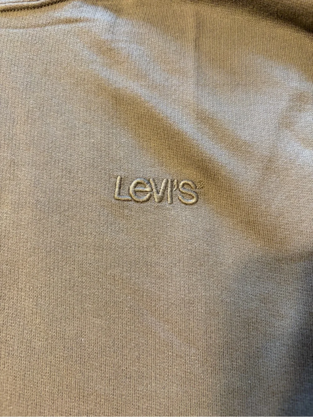 Levi Men's Green Hoodie